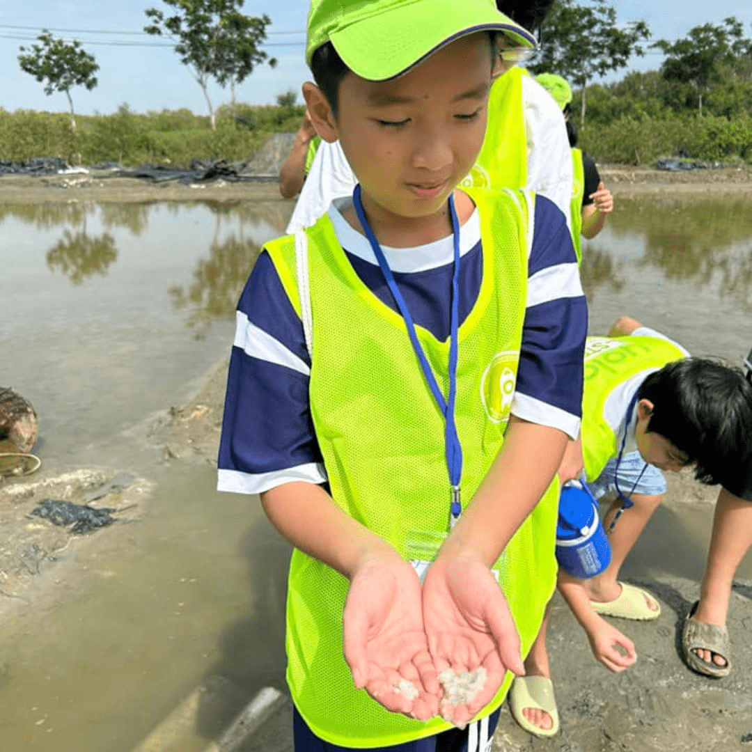 Bsteam Cần Giờ